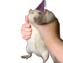 gerbil_partyshake