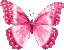 ButterflyPink ButterflyPink