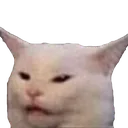 NaniCat NaniCat