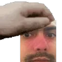 simonepet