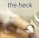 theheck
