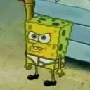 spongemad spongemad