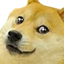 doggo
