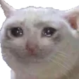 sad sad