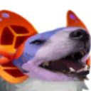 sonnorkek3