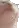 catbop