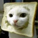 breadcat breadcat
