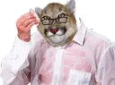 CassiSueur