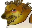 :goonerBOYE: