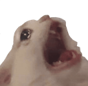JK_sadcataaa Discord emoji