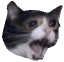 k_sadcat2 Discord emoji