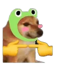 doge_timido Discord Emoji