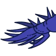 winsto13KrillTail