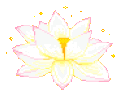 wsflower
