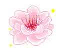 psflower
