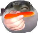 AeughGivesCarrot AeughGivesCarrot
