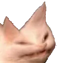 angery_cat