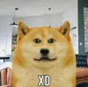 :xd: