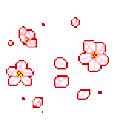 sakuraflowers