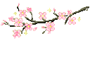 sakuratwinkle