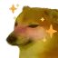 dogblush_RS