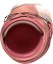PragOMEGALUL