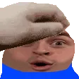 pettheludwig