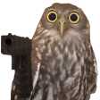 engry_Owl Discord emoji