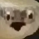 A_Woaaaaa A_Woaaaaa