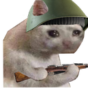 A crying cat wearing a green military helmet and holding a rifle.