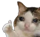 saddokay