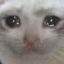 SadCat