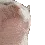CatJam CatJam