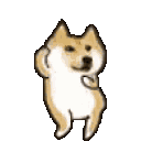 perro_baila