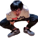 swan_frog Discord emoji