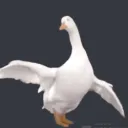 DuckVibe