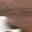 apl24