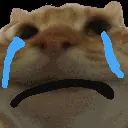 yotoCry