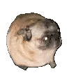 wack