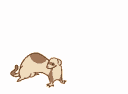 jumpingferret