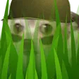 chiwaSniper