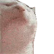 catvibe catvibe
