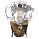 prophetcraig