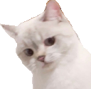 NanaNope Discord emoji