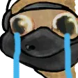 bishcry