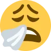 wearysneeze