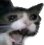 CatSob