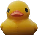 bigduck