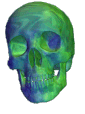 WinVsa Discord emoji