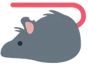 raT